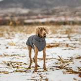 Thick Cotton Pet Coat for Cold Weather Protection & Comfort