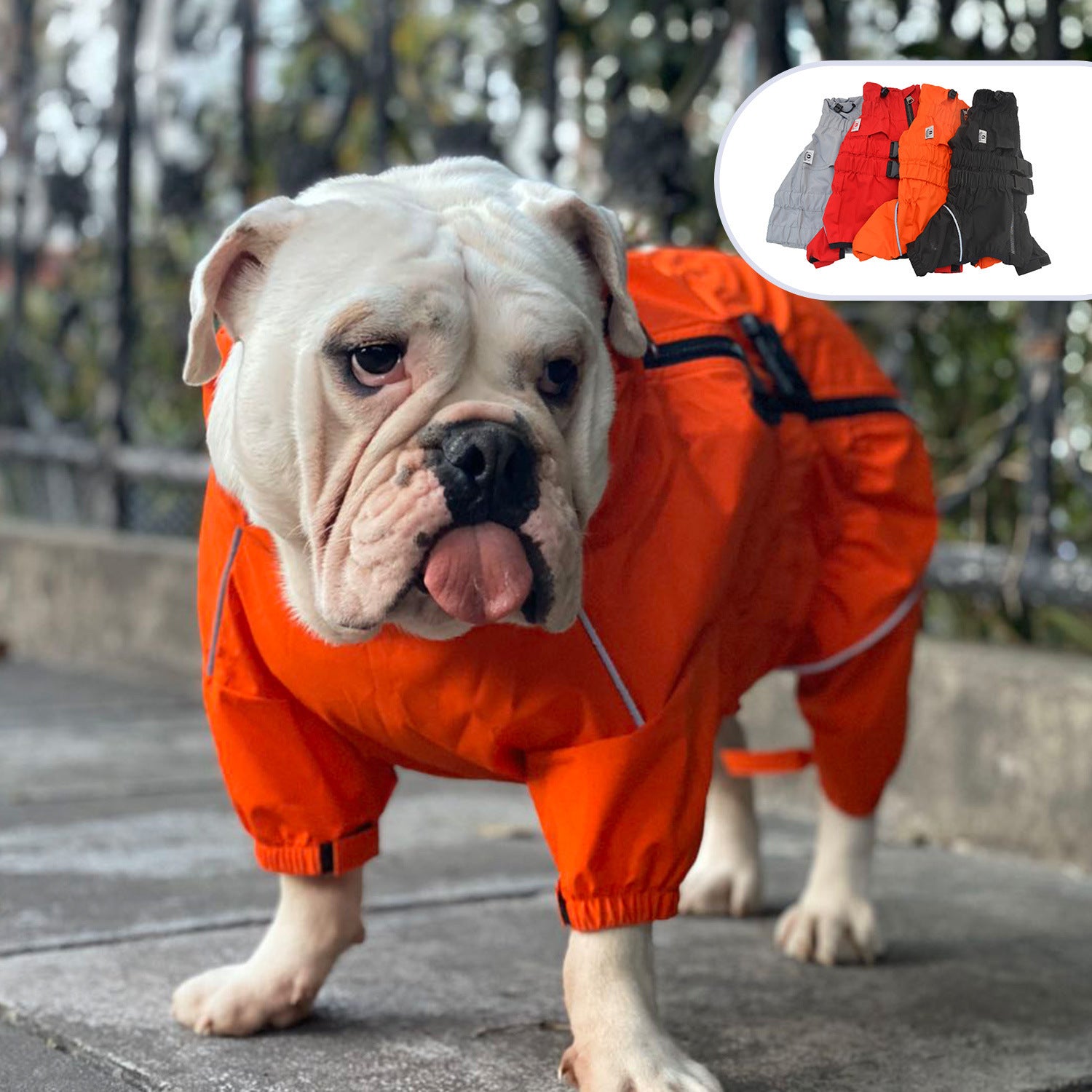 Pet Four-Legged Dog Outdoor Clothing Waterproof Jacket