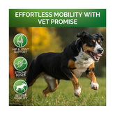 Pet Hip & Joint Supplement Chondroitin Mobility Support Chew
