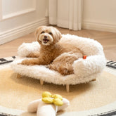Small & Medium Dog Safety Bed Comfortable Pet Furniture