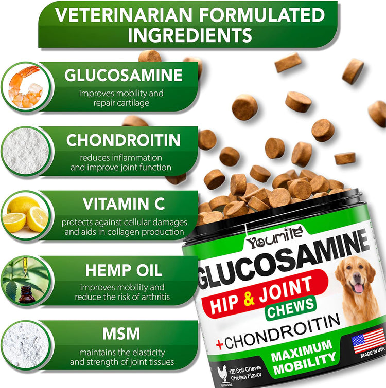 Pet Hip & Joint Supplement Chondroitin Mobility Support Chew