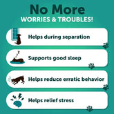 Anxiety Relief Treats with Hemp Oil Turmeric & Valerian