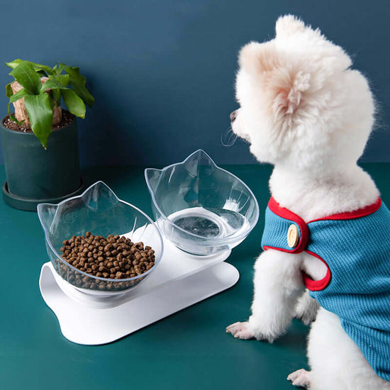 New Inclined Food Cat Ear Oblique Mouth Transparent Pet Bowl