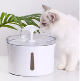 Pet Water Dispenser Intelligent Automatic Circulating Filter