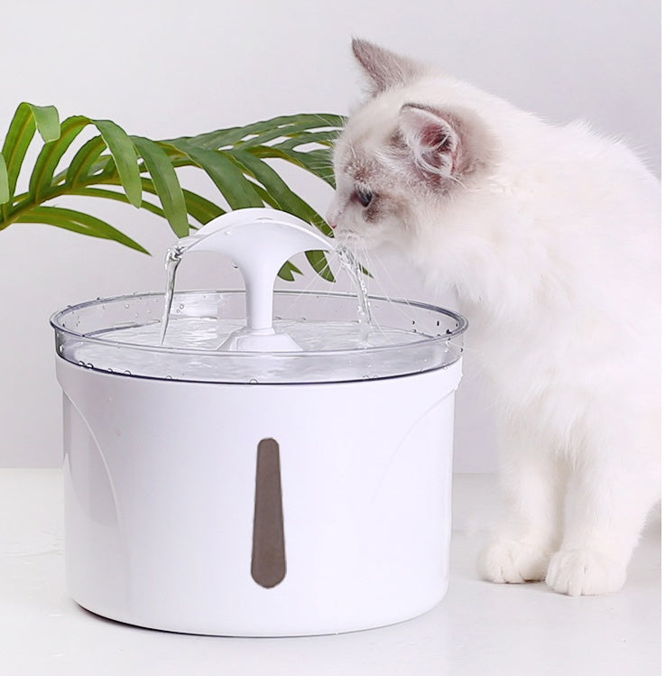 Pet Water Dispenser Intelligent Automatic Circulating Filter