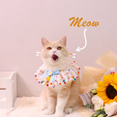 Adjustable Pet Photo Accessories for Cute Pet Photography