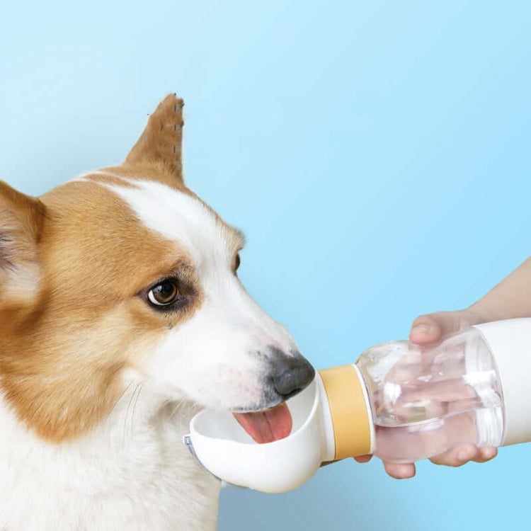 PET FEEDERS