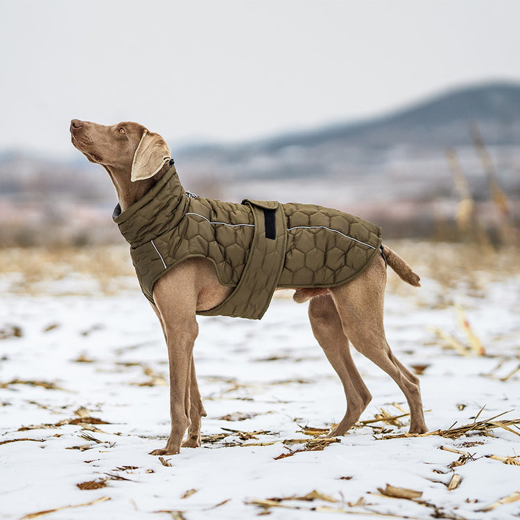 Thick Cotton Pet Coat for Cold Weather Protection & Comfort