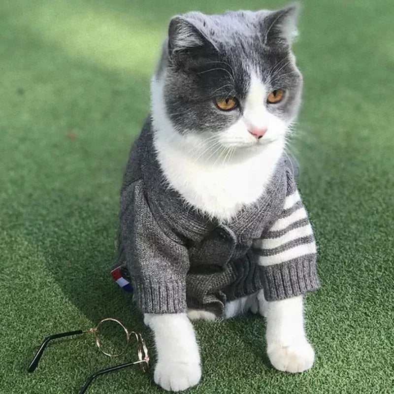 Warm Button-Up Sweater for Small and Medium Dogs
