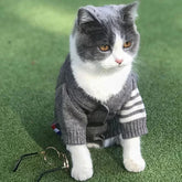 Warm Button-Up Sweater for Small and Medium Dogs