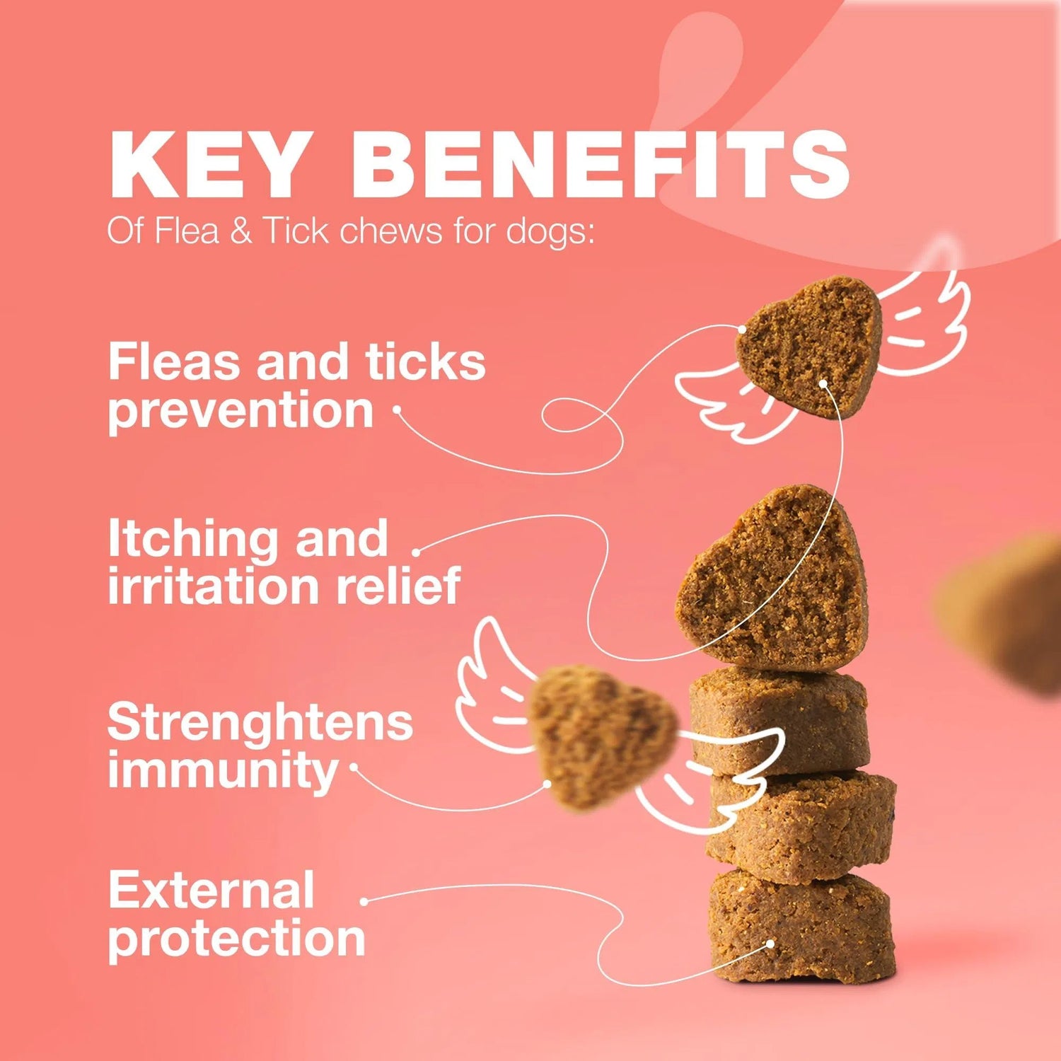 Dog Flea and Tick Treatment Chews Natural & Tick Prevention