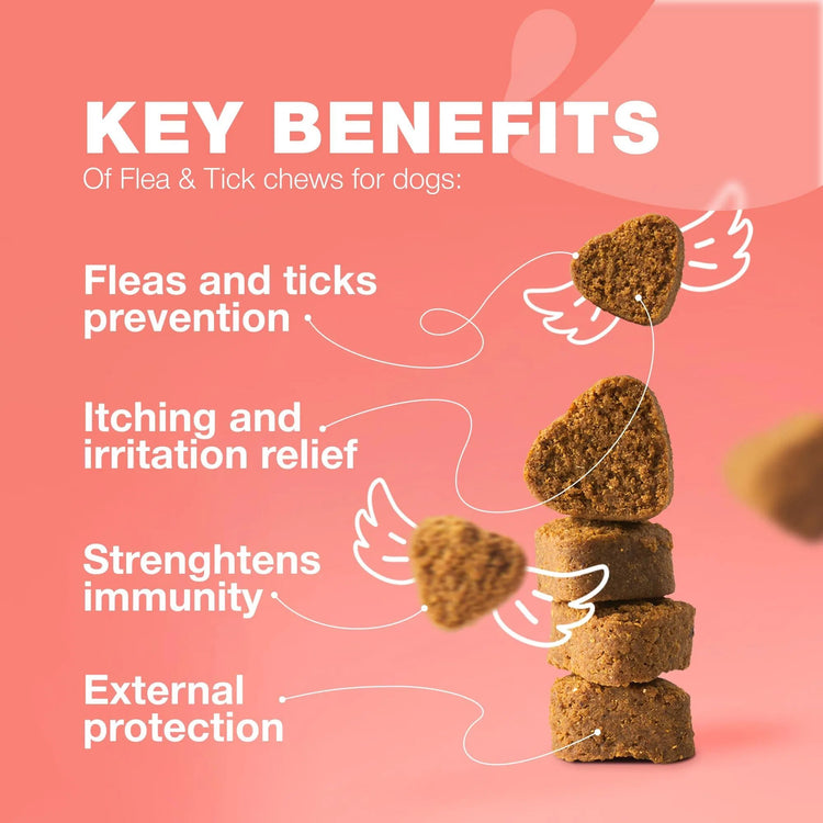 Dog Flea and Tick Treatment Chews Natural & Tick Prevention