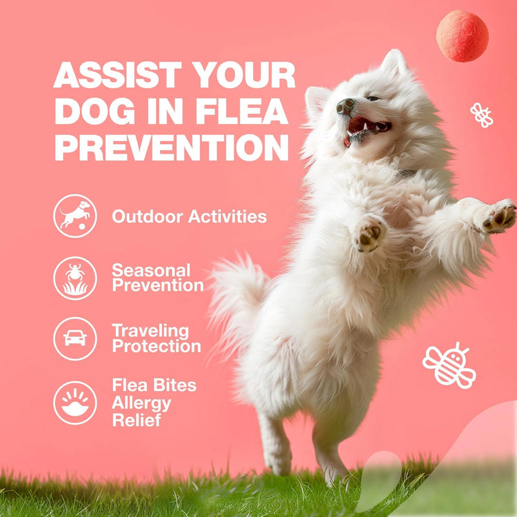 Dog Flea and Tick Treatment Chews Natural & Tick Prevention