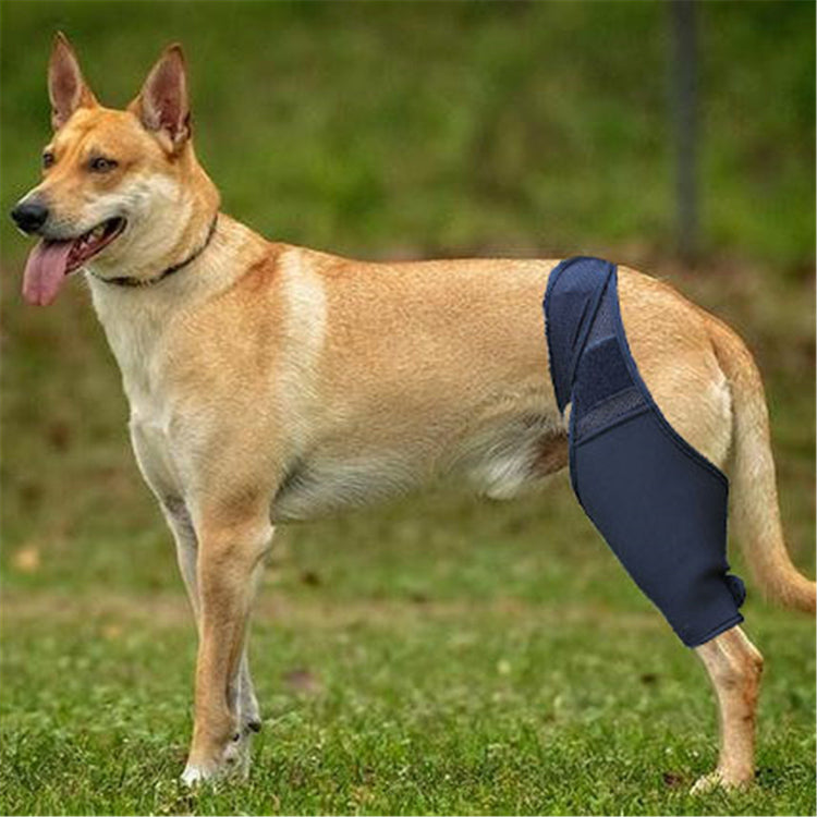 Adjustable Dog Leg Support Brace for Injury Recovery
