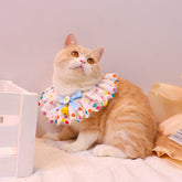 Adjustable Pet Photo Accessories for Cute Pet Photography