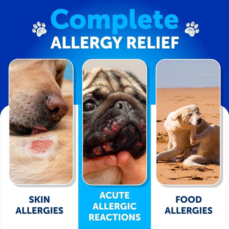 Dog Allergy Relief Chews Skin & Coat Support 120 Omega-3