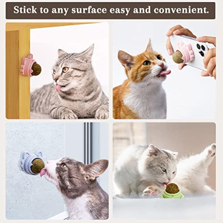 Catnip Toys for Cats Healthy Teeth Cleaning Dental Chew Wall