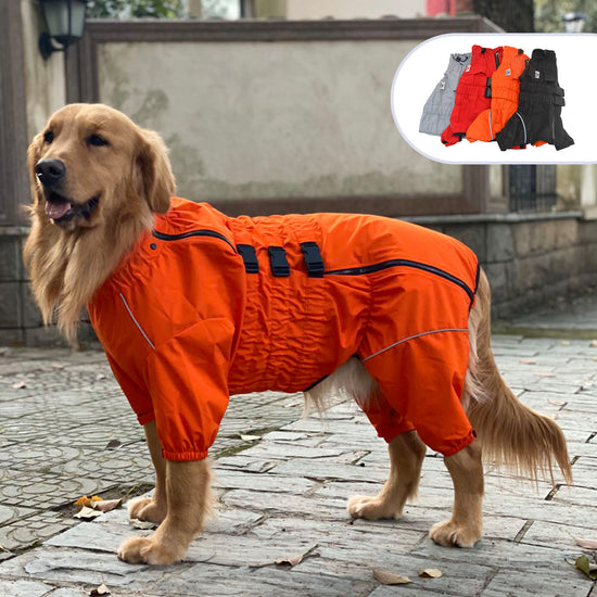 Pet Four-Legged Dog Outdoor Clothing Waterproof Jacket