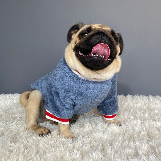Cozy Knitted Winter Clothes for Dogs and Cats