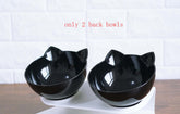 New Inclined Food Cat Ear Oblique Mouth Transparent Pet Bowl