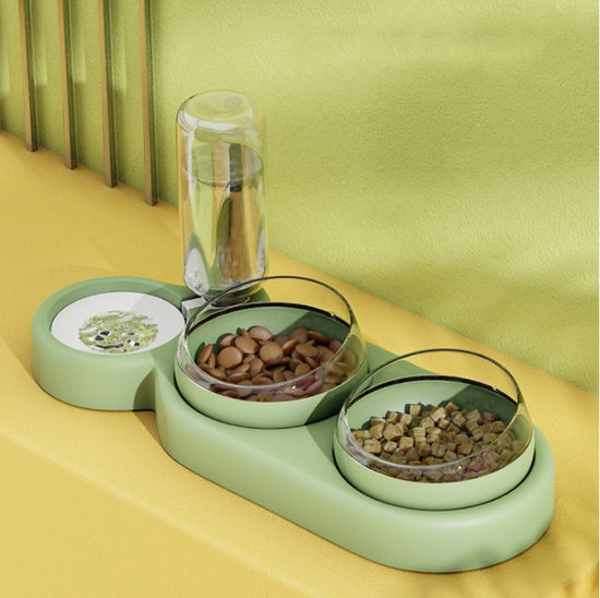 Pet Bowl Automatic Feeder Dog & Cat With Water Fountain