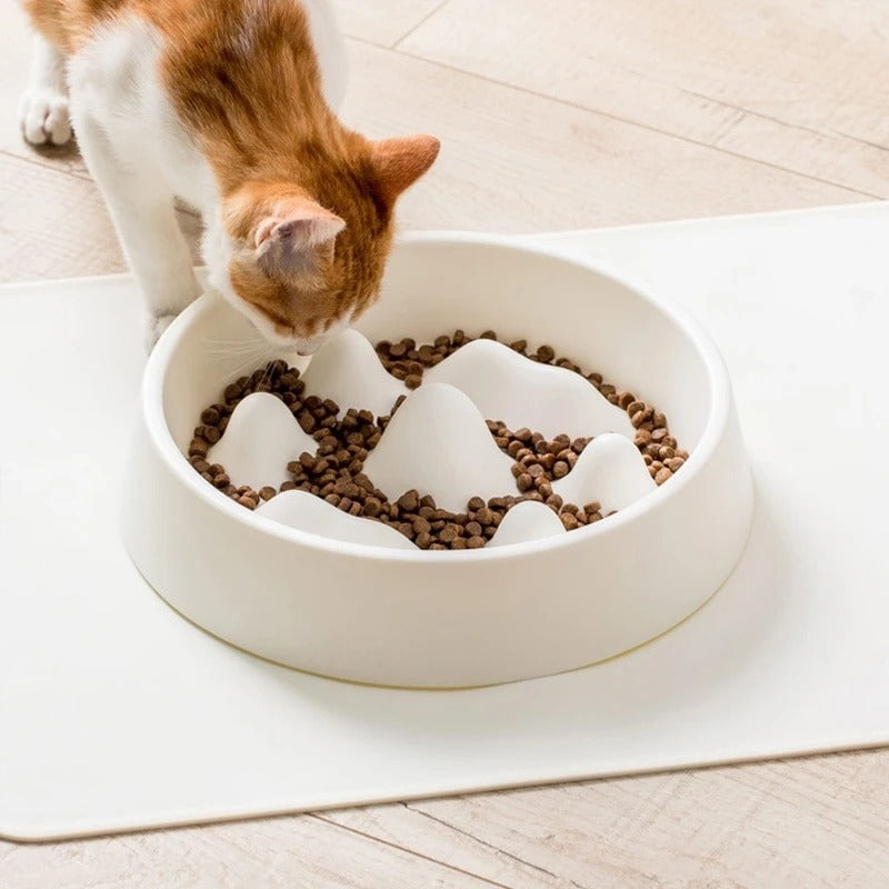 Non-Slip Interactive Slow Feeder Bowl for Dogs and Cats