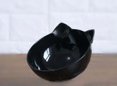 New Inclined Food Cat Ear Oblique Mouth Transparent Pet Bowl