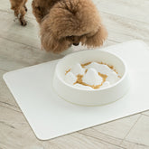 Non-Slip Interactive Slow Feeder Bowl for Dogs and Cats