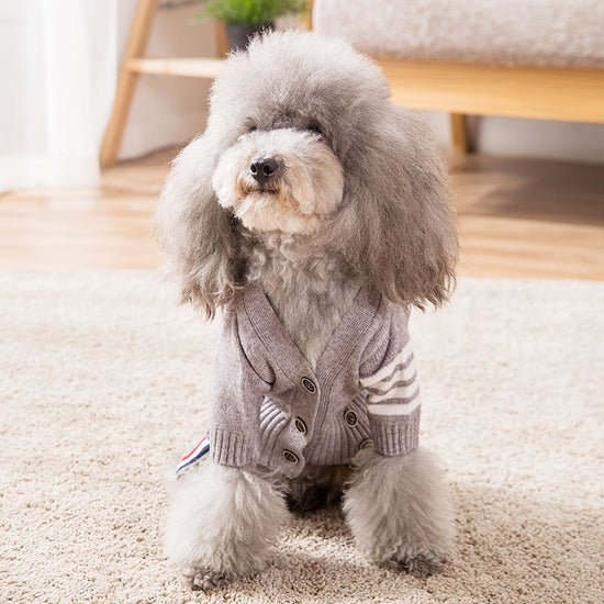 Cozy Fleece Pet Jacket for Cold Weather Comfort