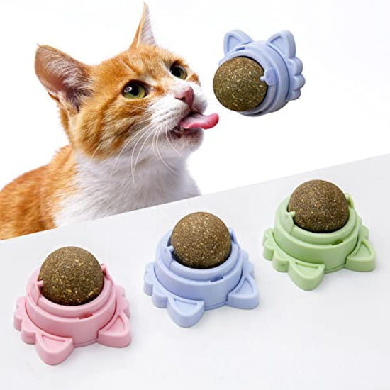 Catnip Toys for Cats Healthy Teeth Cleaning Dental Chew Wall