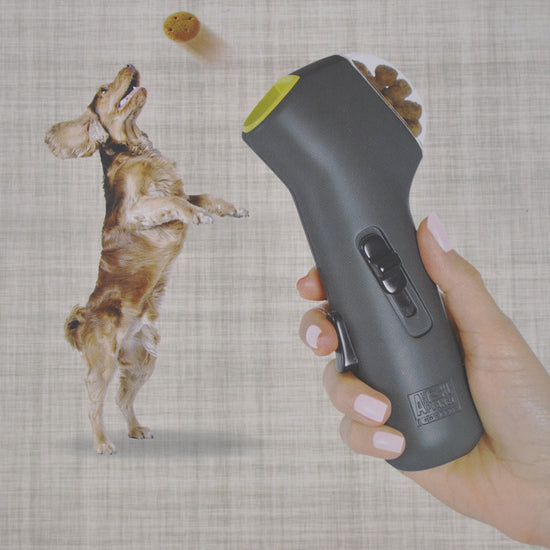 Dog Training Snack Launcher Interactive Pet Treat Shooter