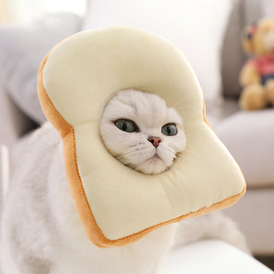 Cute Pet Accessories for Cats & Small Dogs Dress Up Fun