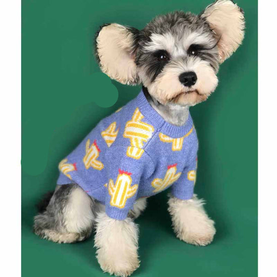 Warm Winter Pet Outfit with Cactus Design