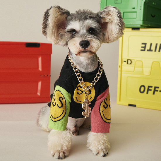 Stylish Adjustable Dog Collar Necklace for Small & Large Dog
