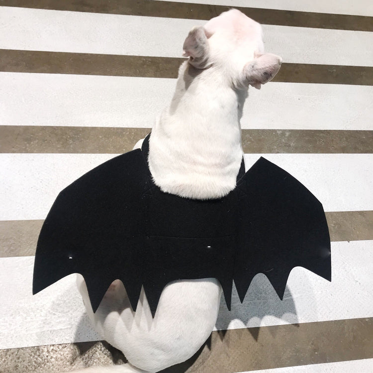 Adjustable Halloween Costume for Dogs & Cats