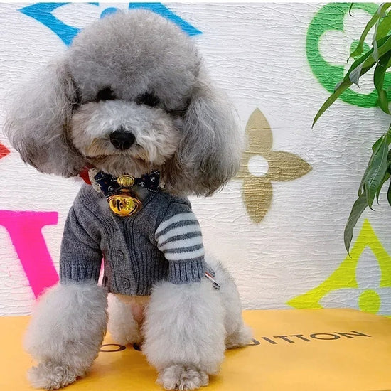 Warm Button-Up Sweater for Small and Medium Dogs