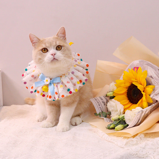 Adjustable Pet Photo Accessories for Cute Pet Photography