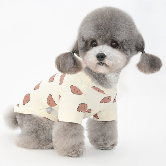 Fashionable Pet Apparel for All Seasons