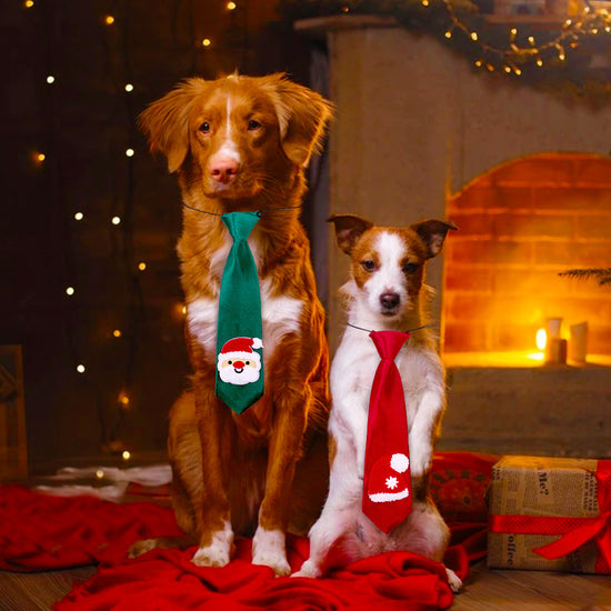 Pet Decorative Tie Dog Solid Color Accessories Adjustable