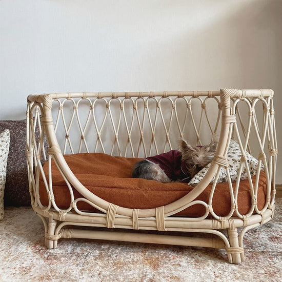Comfortable Durable Sleeping Couch